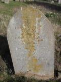 image of grave number 222767